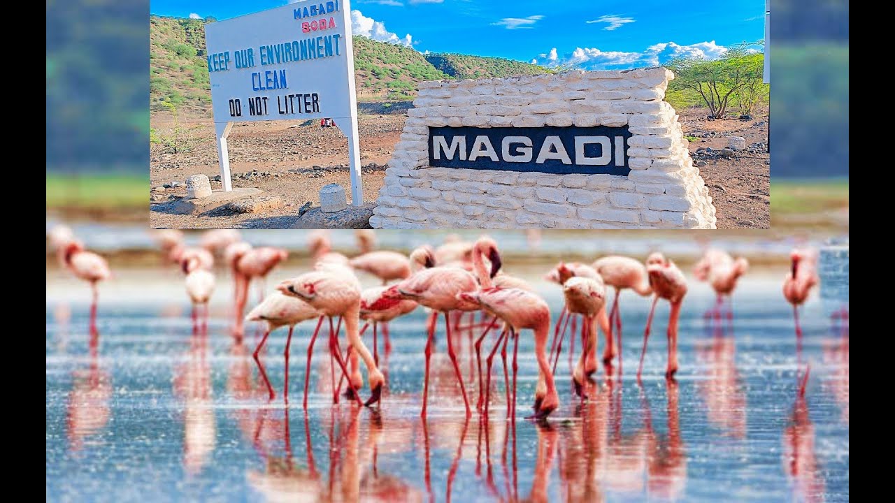 Magadi Hot Springs Unveiled: Nature's Hidden Gem 🔥🌿and more interesting facts you should know.
