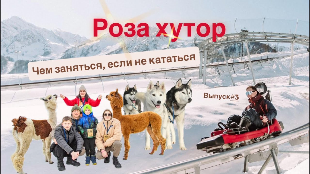 Роза Хутор Выпуск 3 Чем заняться кроме лыж: хаски, русская баня, альпаки, родельбан. Красная поляна
