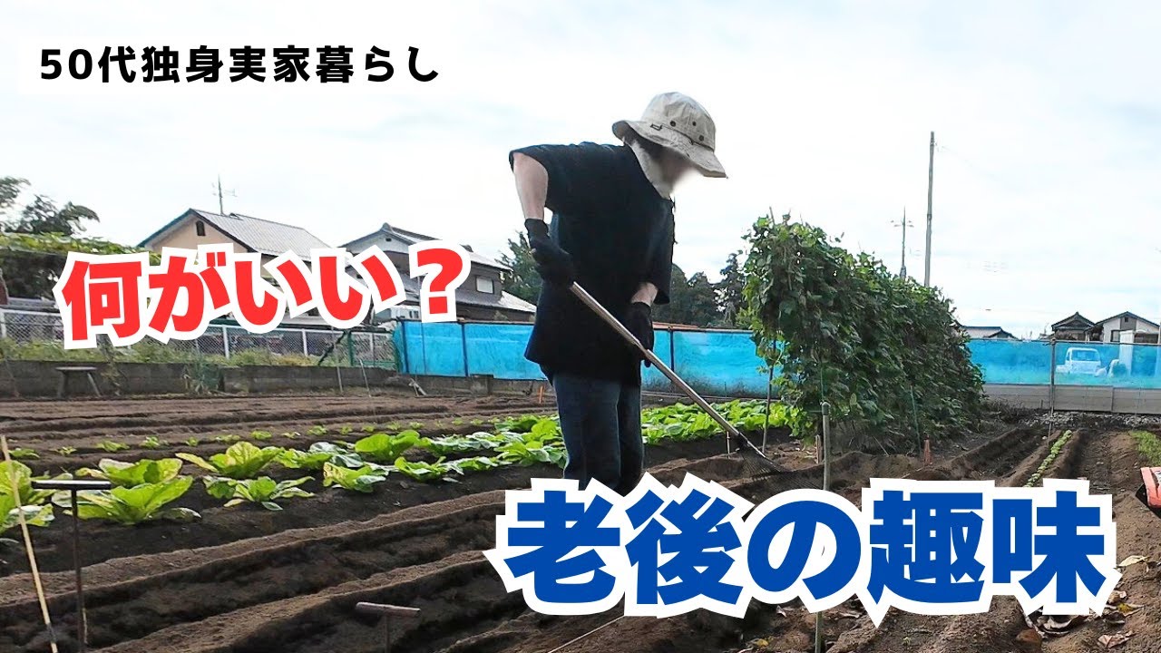 【50代独身】家庭菜園素人が秋冬野菜の種蒔き｜老後も続けられる趣味を今から育てておきたいと思う
