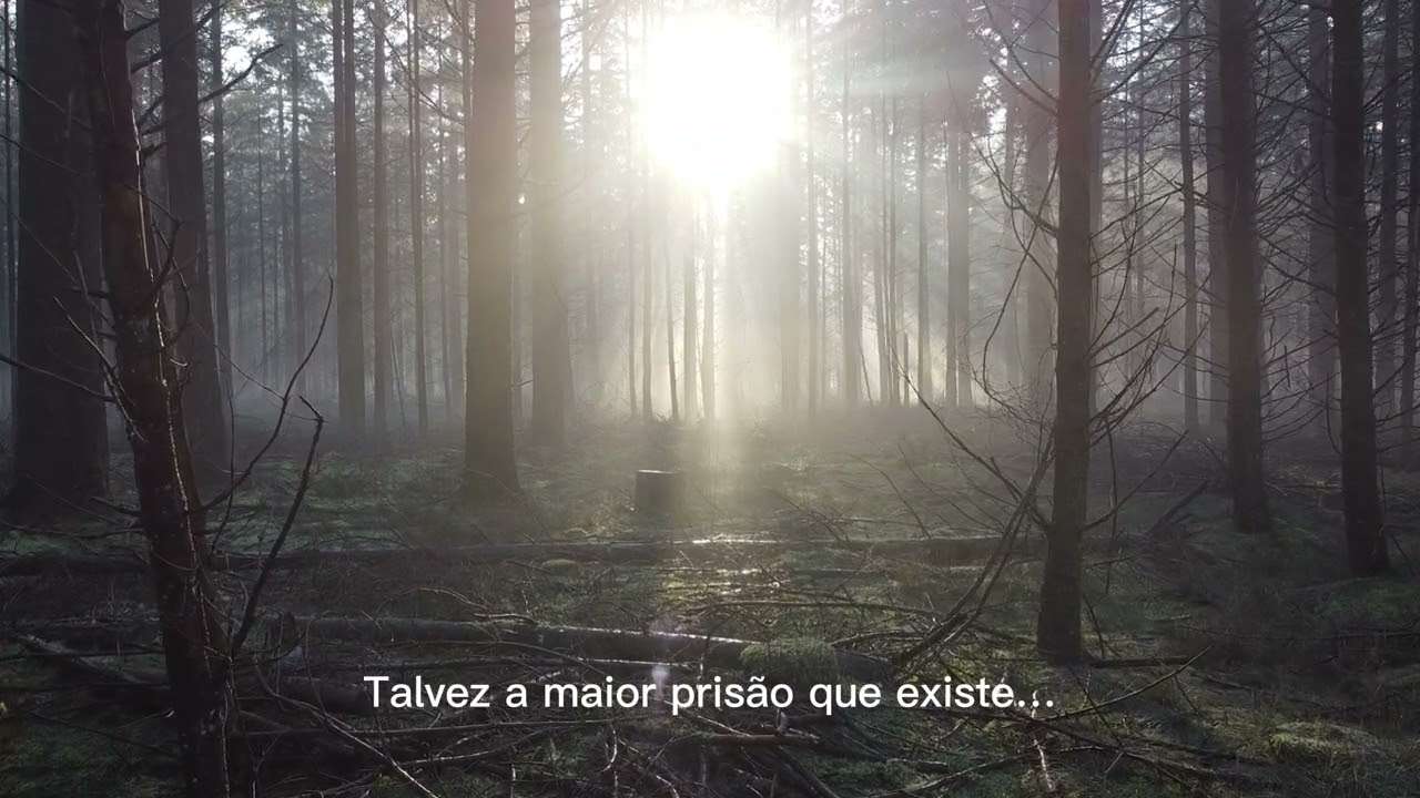 O que significa viver com liberdade de verdade? (Uma reflex&atilde;o que pode mudar sua forma de pensar)