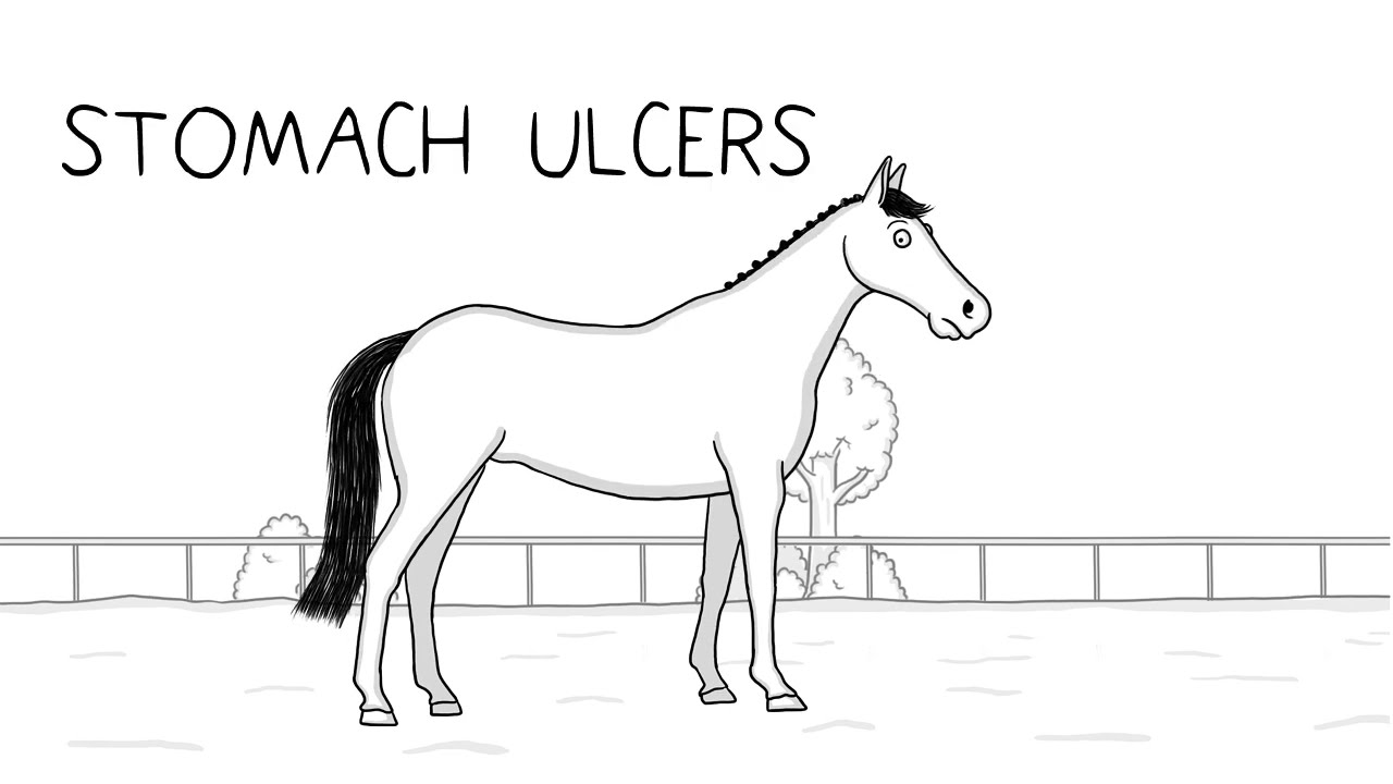How to prevent stomach ulcers?
