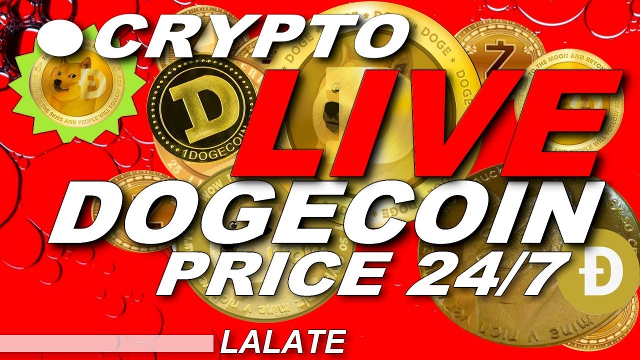 CRYPTO LIVE NEWS DOGECOIN LIVE STREAM NOW | DOGECOIN LIVE CHART LIVE STOCK PRICE 🚀BEST COIN TO BUY!!