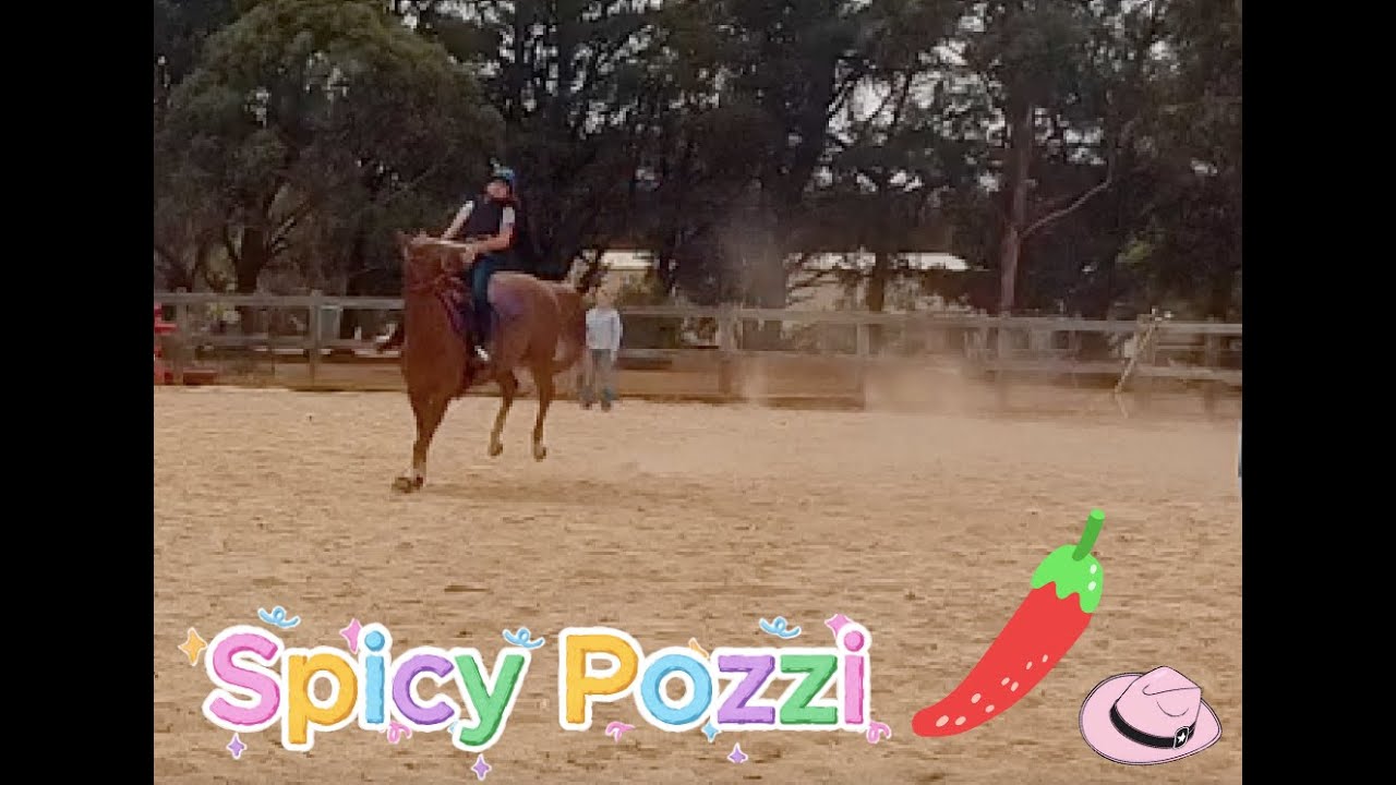 Training day, Rodeo prep!