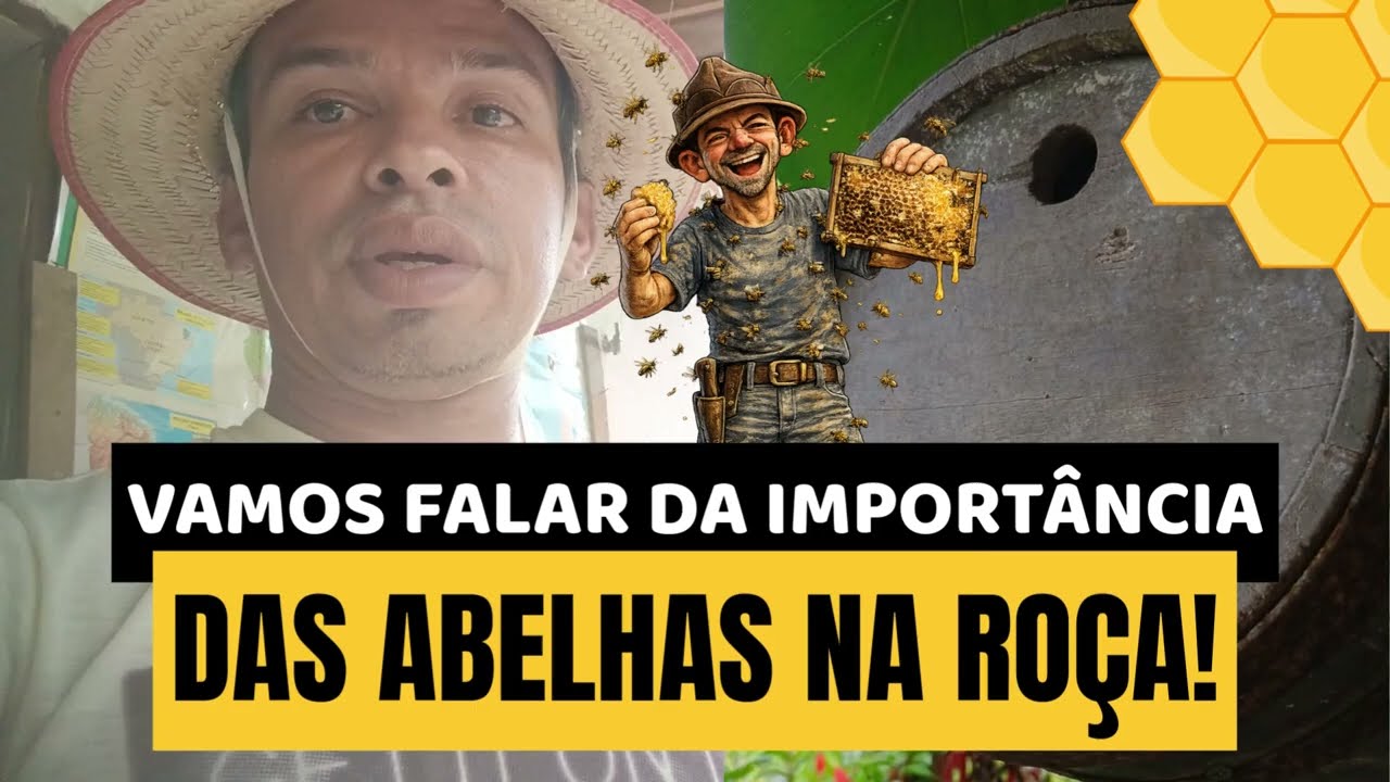 SE AS ABELHAS SUMIREM, A GENTE SOME TAMBÉM! (Você Não Sabia Disso…)