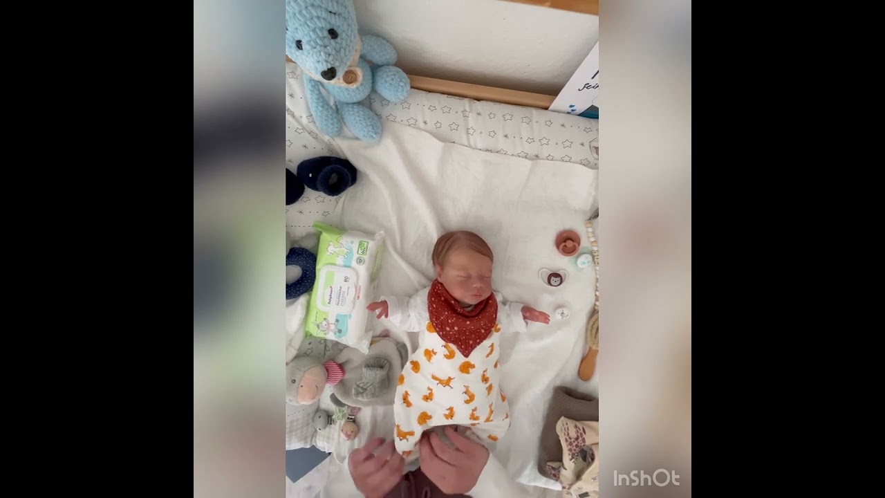 Umziehvideo mit Lia ✨ || Reborn Baby Deutsch | Mimi.s Rebornbabys