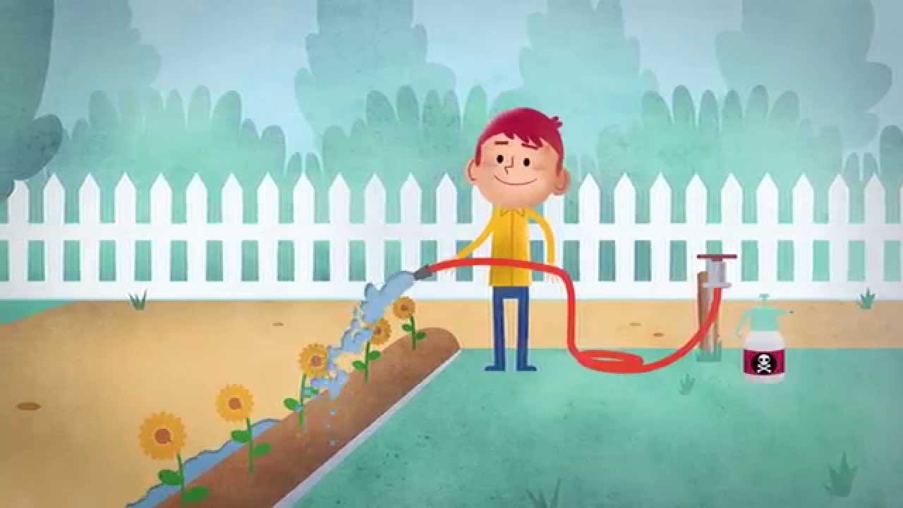 Stormwater Pollution The Dirty Truth: Home Activities