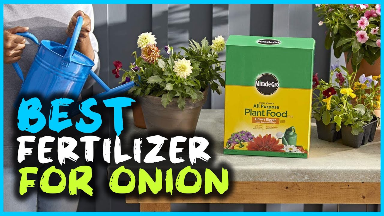 Top 7 Best Fertilizer for Onion [Review] - Organics Fertilizer for Onion/Bone Meal Fertilizer [2023]
