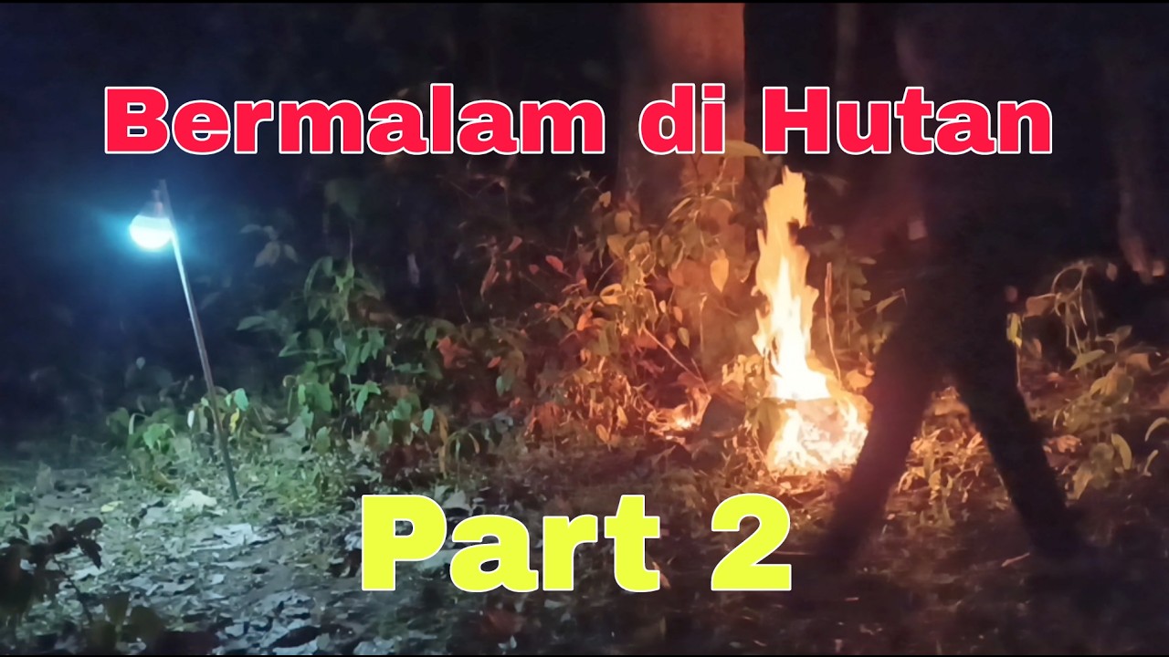 #94 | Bermalam di Hutan | Part 2 |