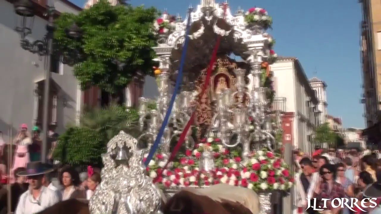 ROCIO 2015 HERMANDAD DEL ROCIO DE TOMARES 1º