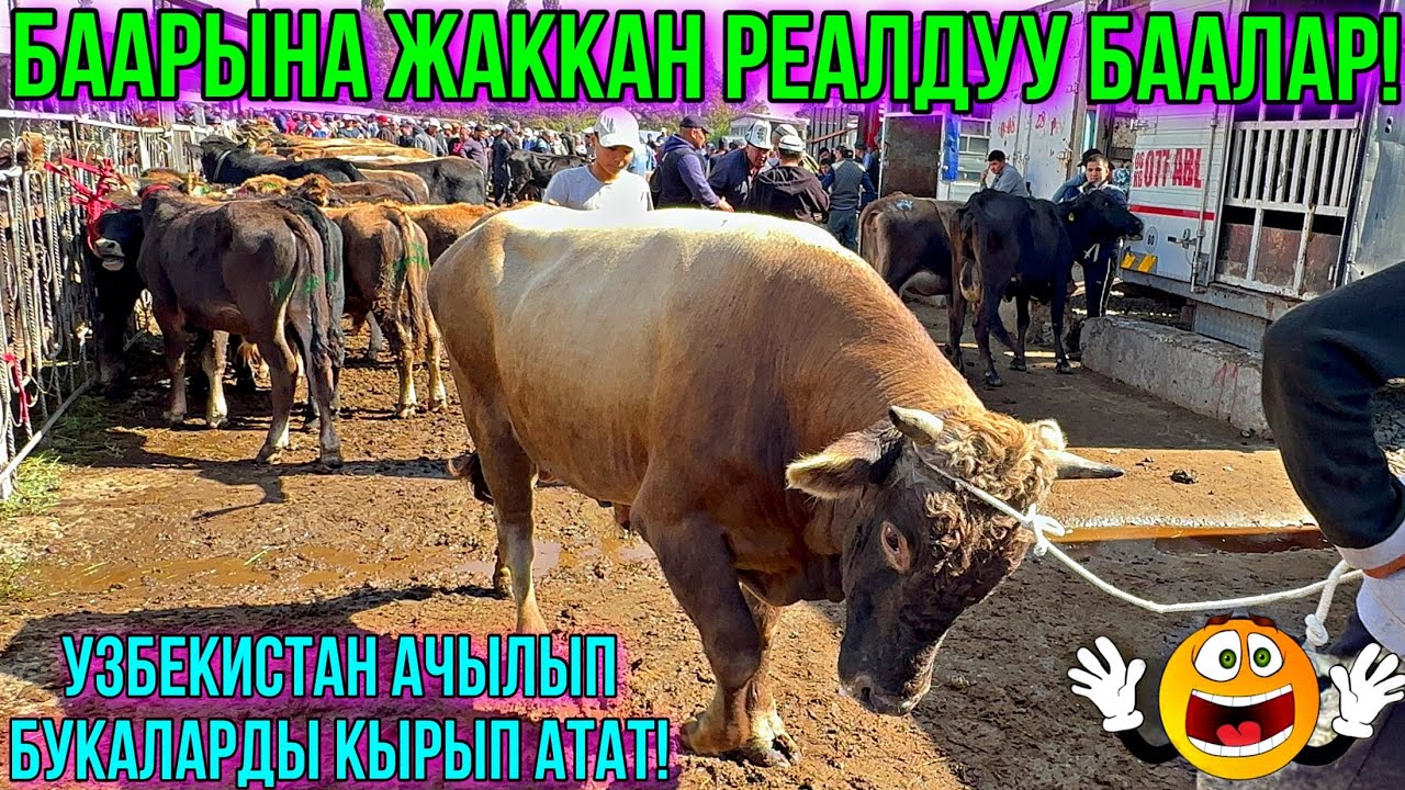 БАЗАР ӨЛДҮ ӨЛДҮ БОЛДУГО ЧИРКИН 🤯 #байтв