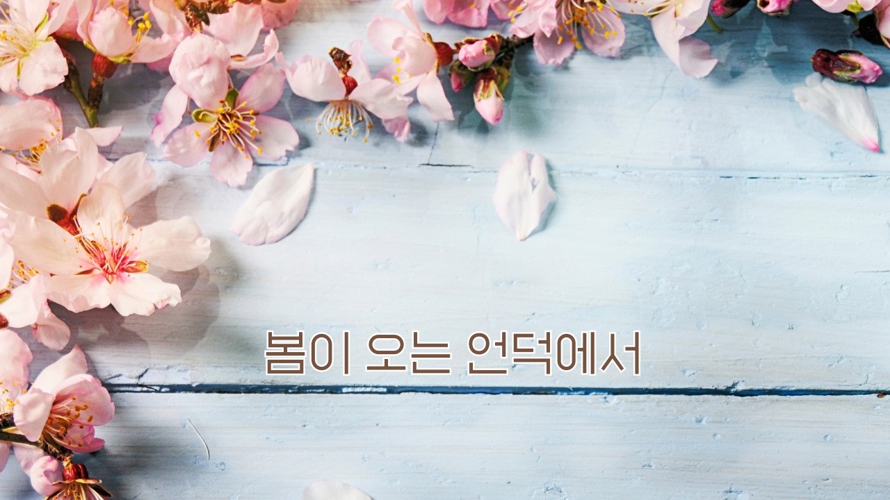 봄이 오는 언덕에서