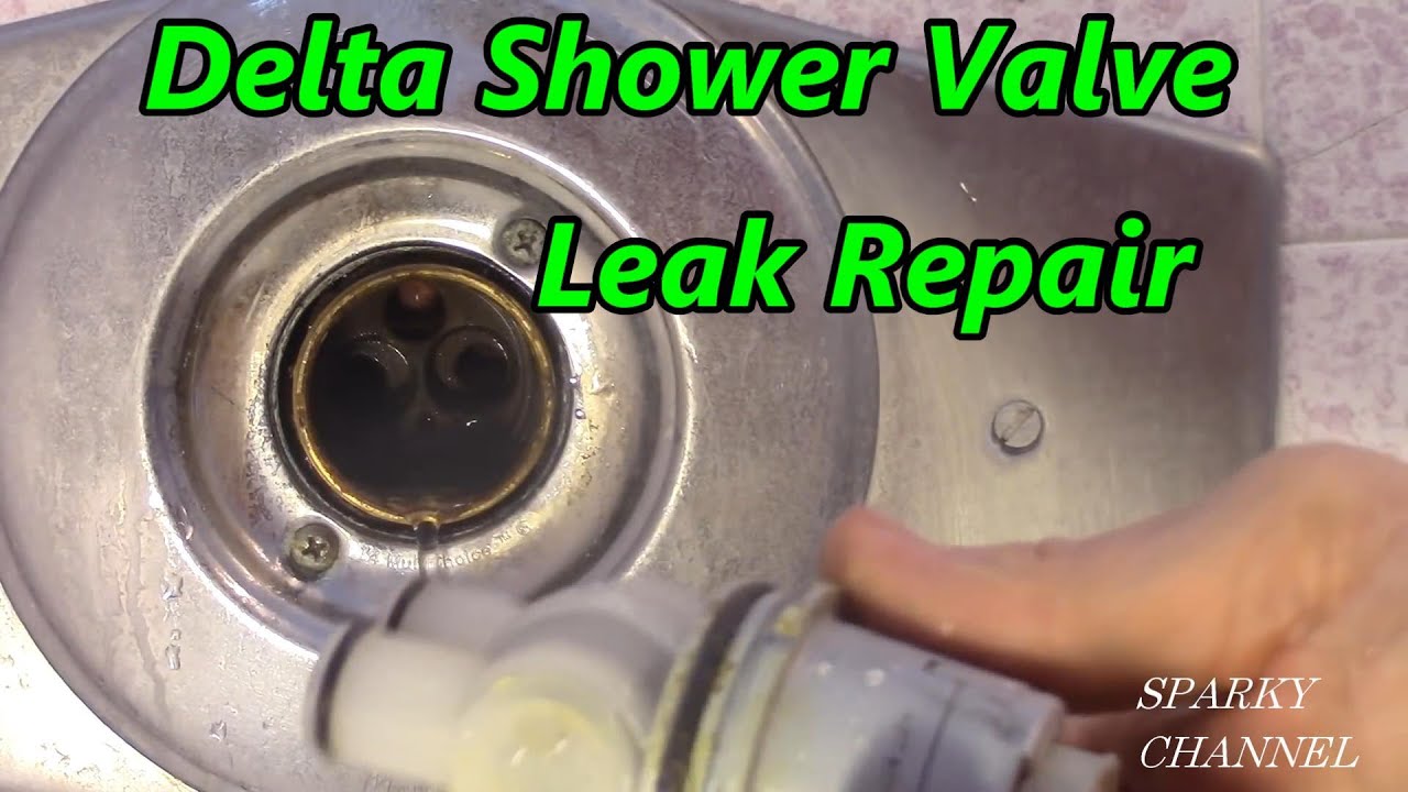 Delta Single Handle Shower Valve Leak Repair 13/14 Series