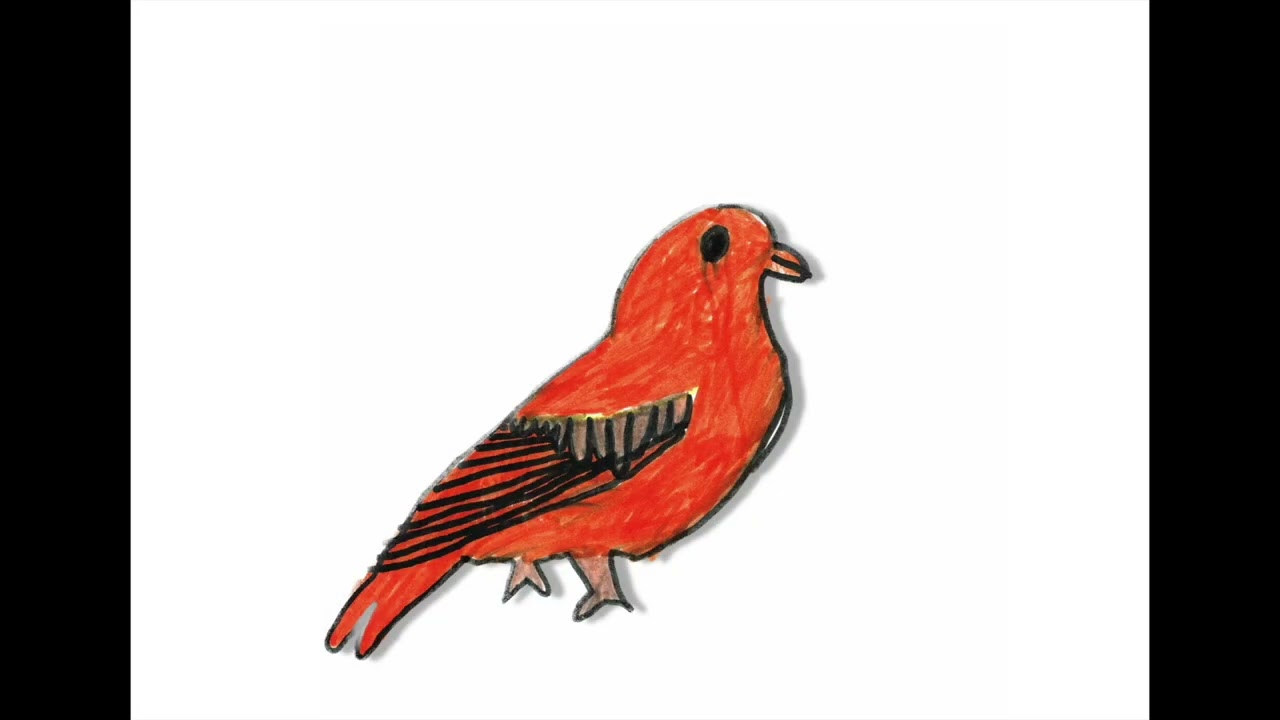 Moineau fou