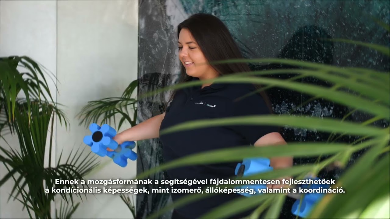Vizitorna alapú szolgáltatás