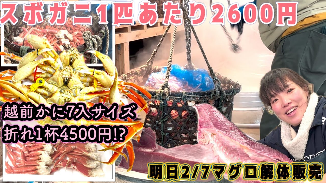 『越前かにが4500円！スボガニ2600円！明日マグロ解体販売！』#激安  #魚屋　#相木魚問屋 #敦賀   8/2/6
