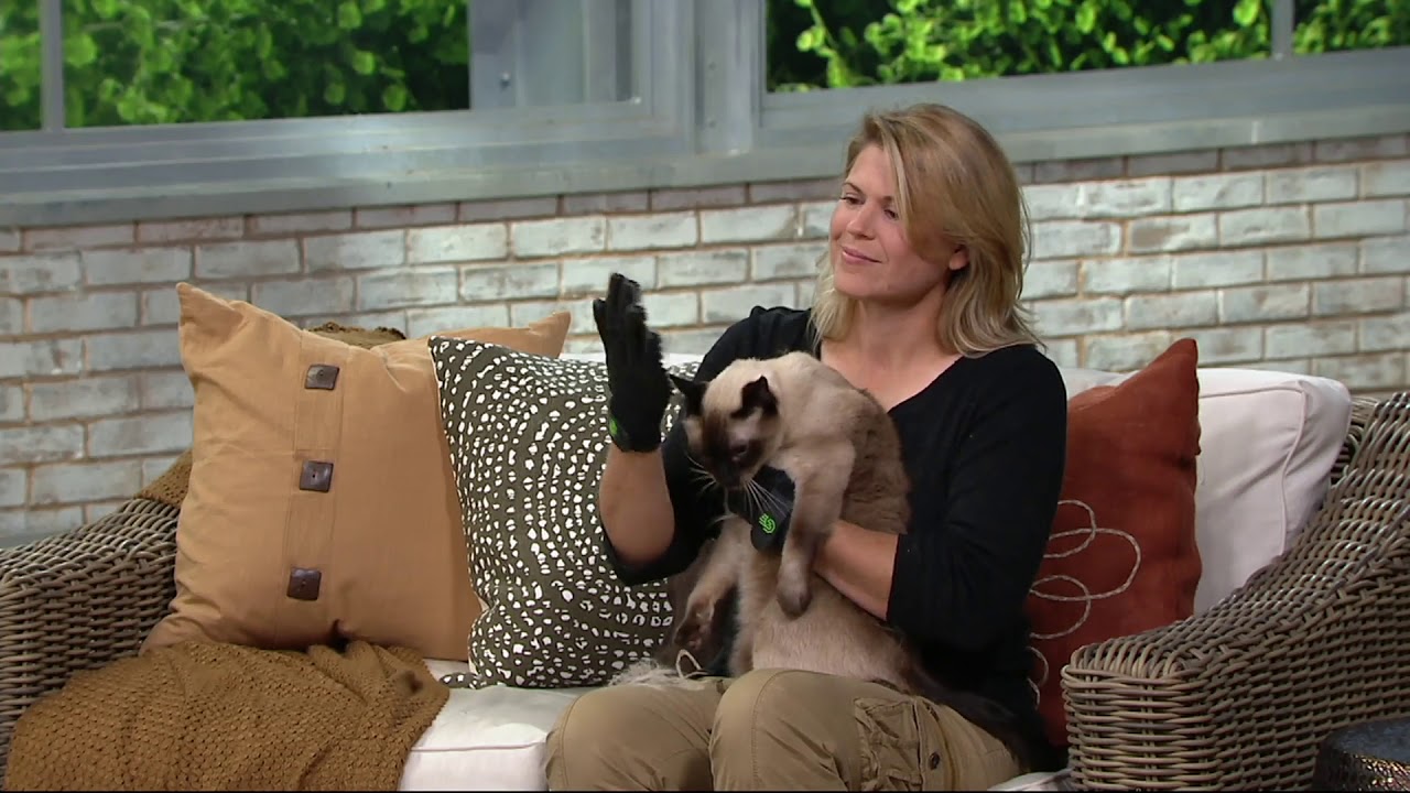Hands On Pet Shedding Bathing & Grooming Gloves on QVC