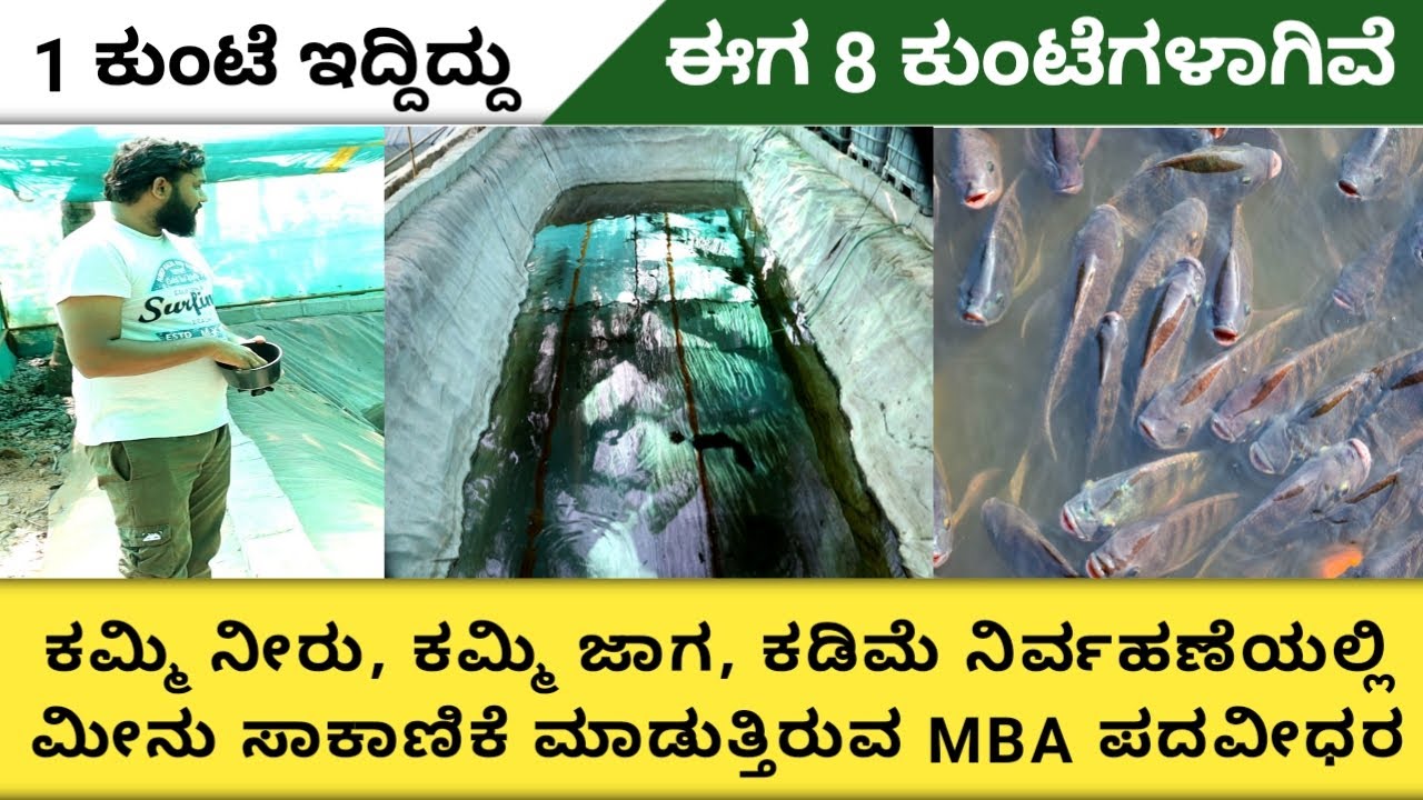 Tilapia fish farming in Karnataka | Pond construction details for fish farming |Krushi chatuvatike|
