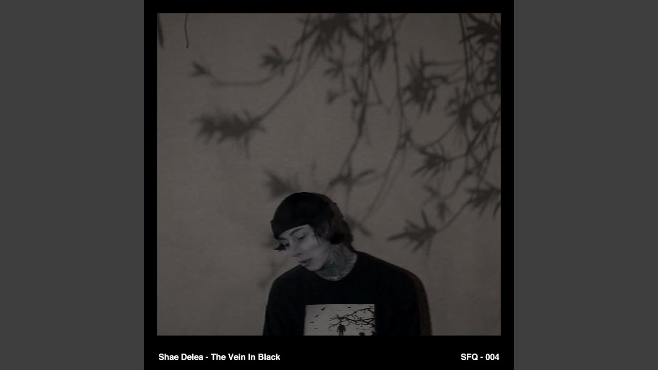 The Vein in Black