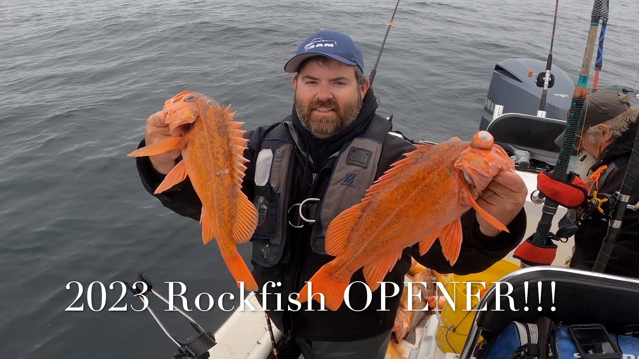 2023 Rockfish OPENER !!! Bodega bay