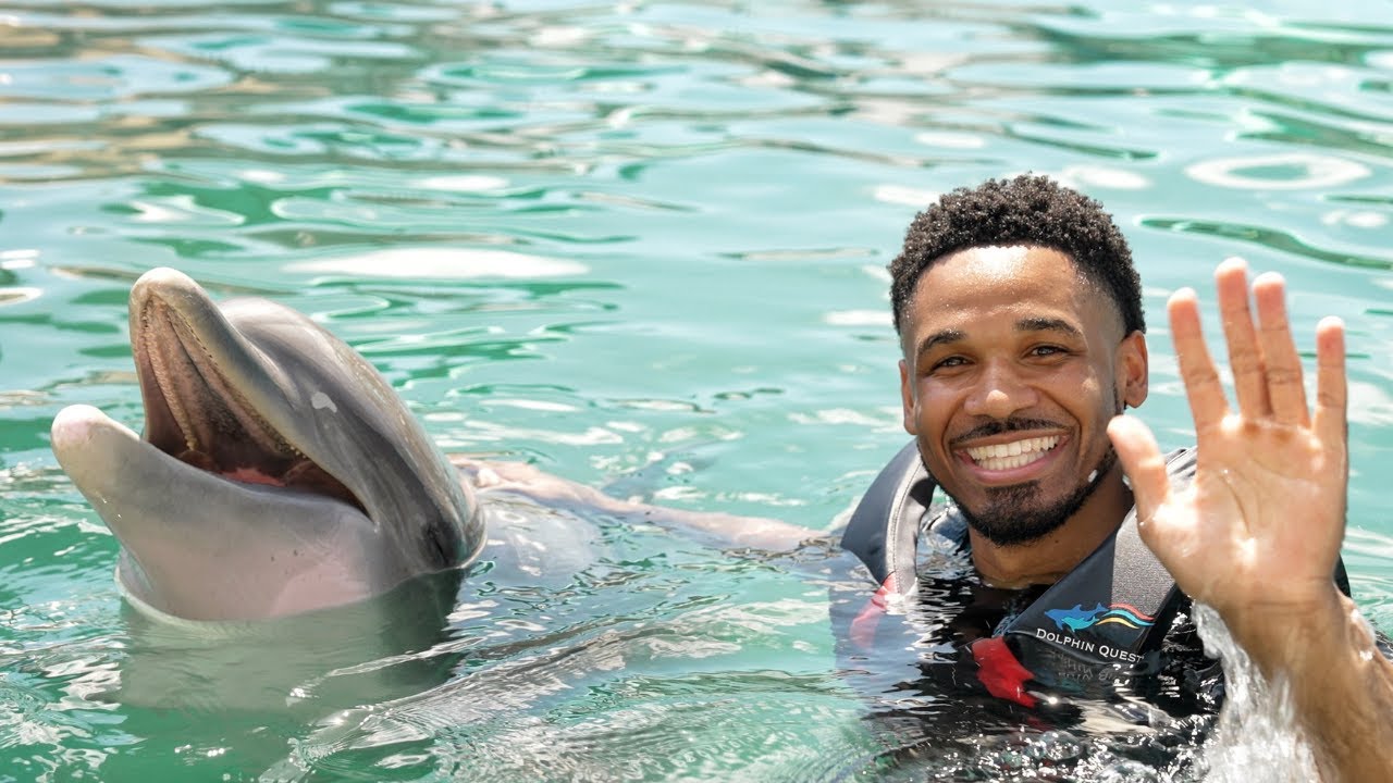 Incredible Dolphin Experience in Bermuda: Dolphin Quest!
