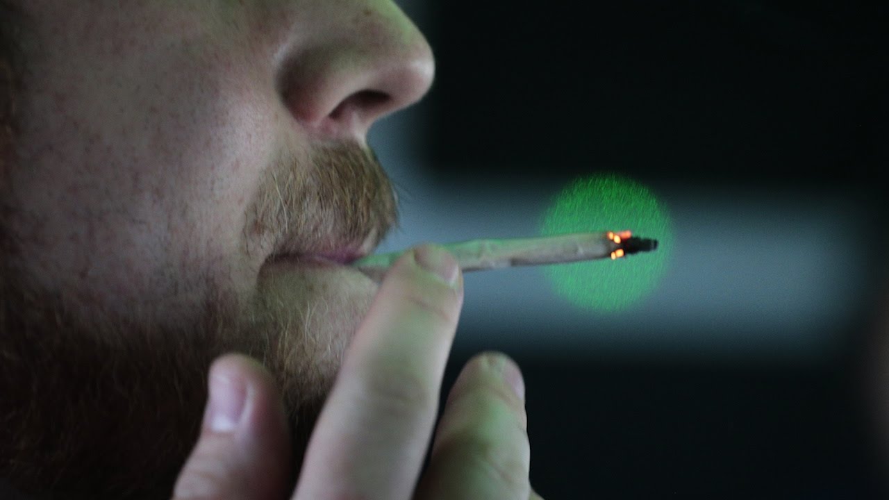 Hop on board a Denver cannabis tour