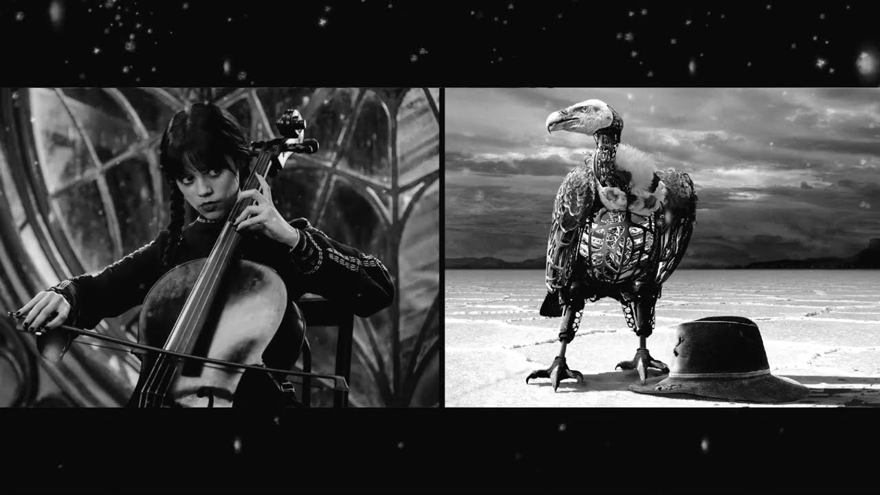 Paint it, Black (Westworld vs Wednesday EPIC MIX)