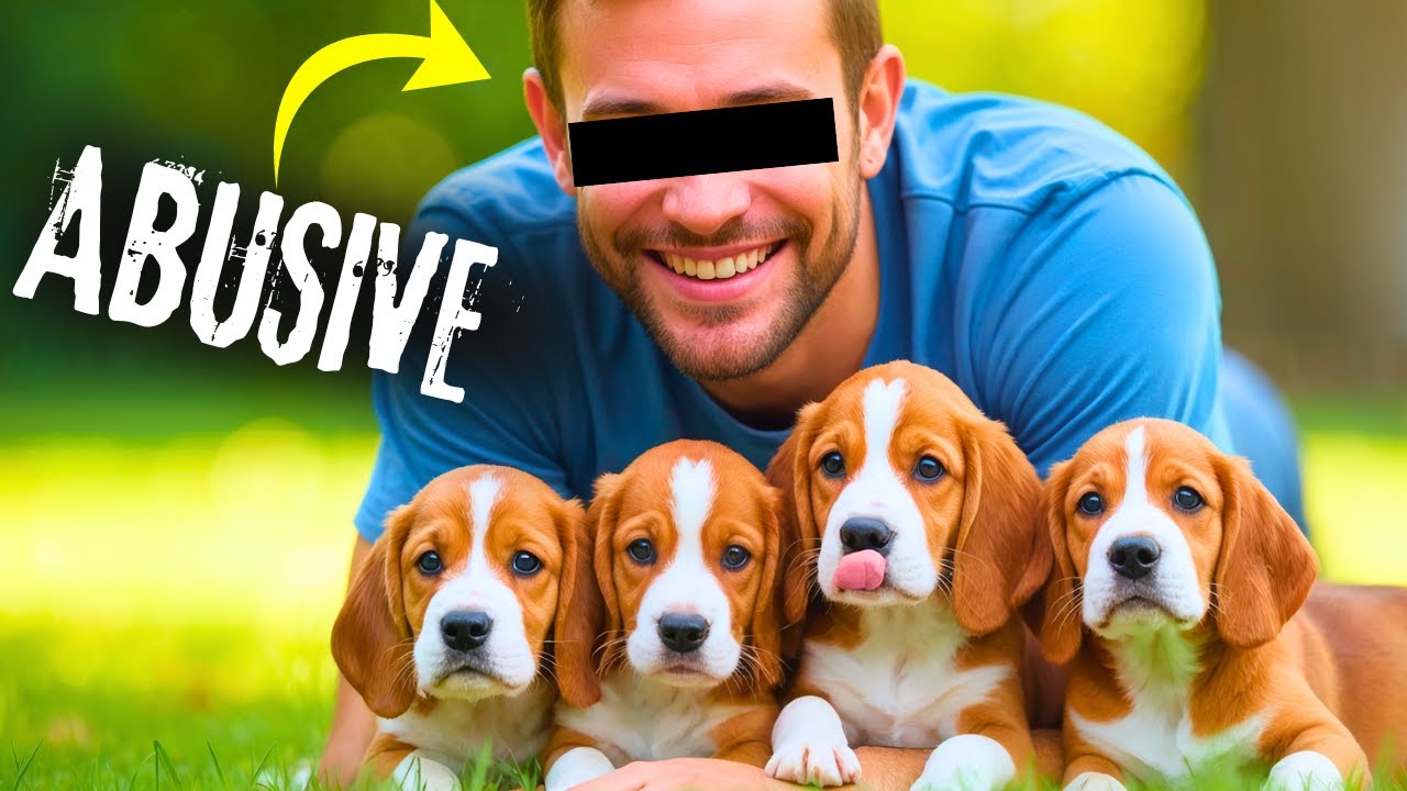 Почему заводчиков собак так ненавидят? (ТРЕВОЖНАЯ правда)