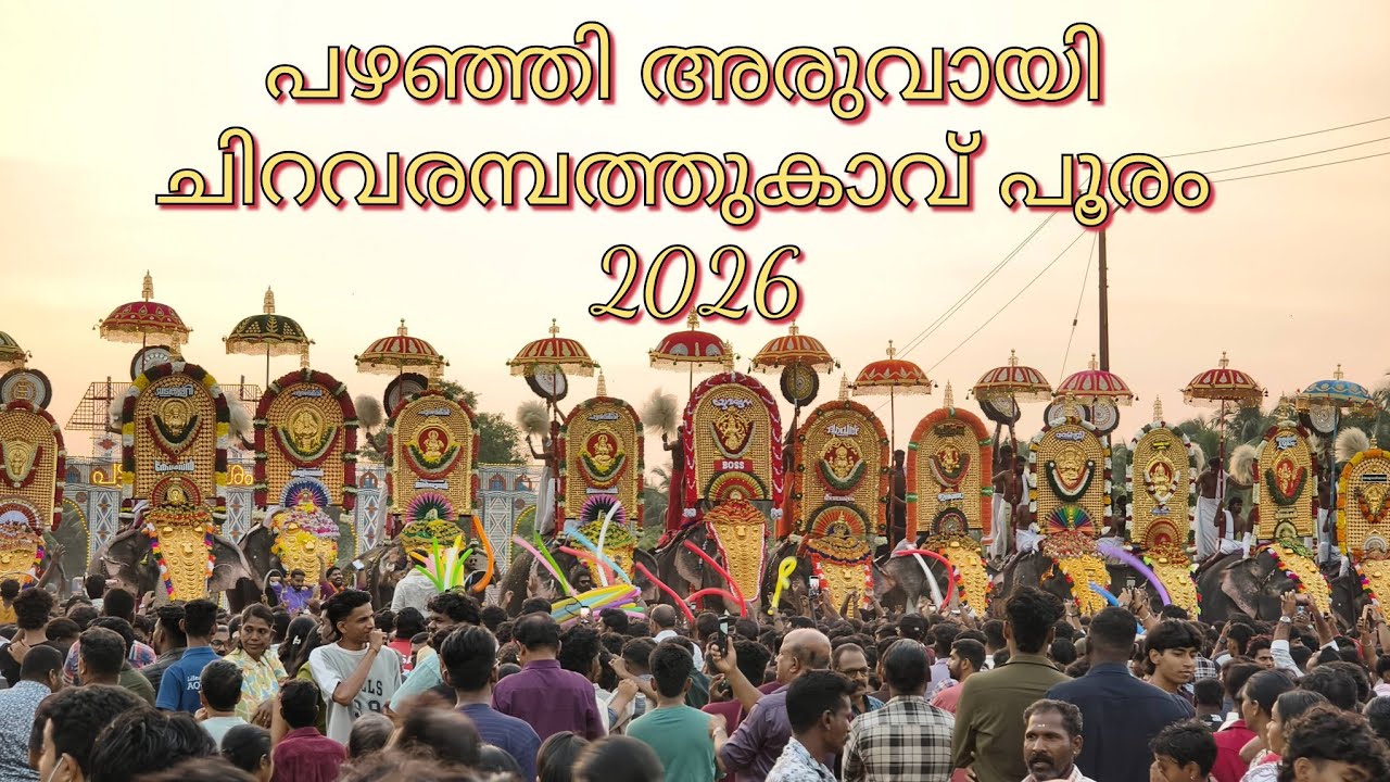 പഴഞ്ഞി അരുവായി ചിറവരമ്പത്തുകാവ് പൂരം 2026❤️  Aruvayi Chiravarambathukavu Pooram 2026 🥰 #elephant 