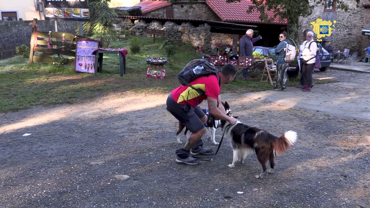 Glimpse from Camino Frances - The Pilgrim With 2 Dogs - Camino de Santiago