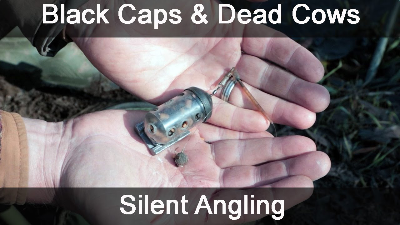 Barbel fishing uk - river Wye - floodwater tactics tackle bait technique - Silent Angling