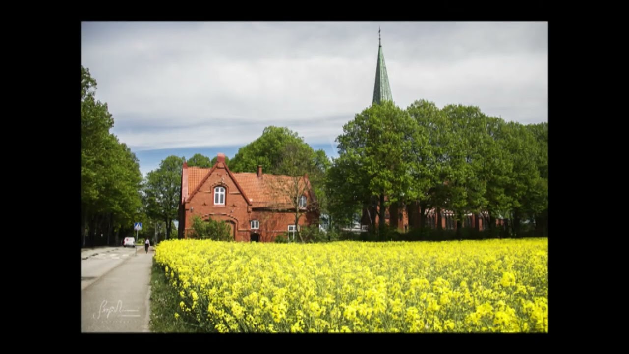 From Malmö to Klagshamns by bike - Sweden