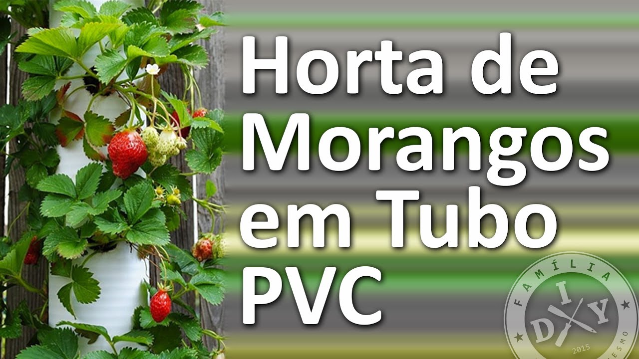 🍓 HORTA DE MORANGO NO CANO PVC - FAMÍLIA DIY