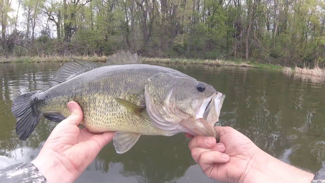 southern minnesota fishing opener 2018
