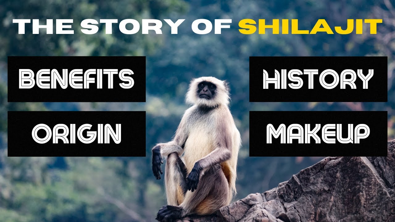 THE STORY OF SHILAJIT