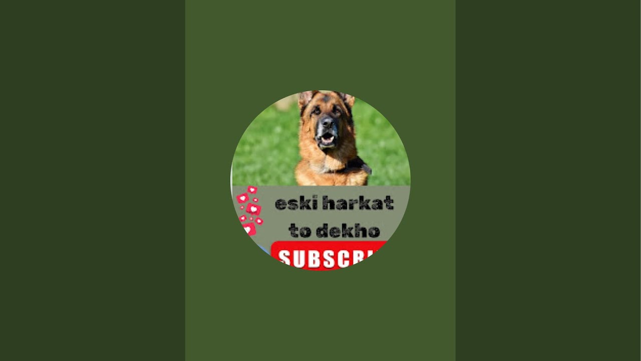 Paliwaljack@ is live