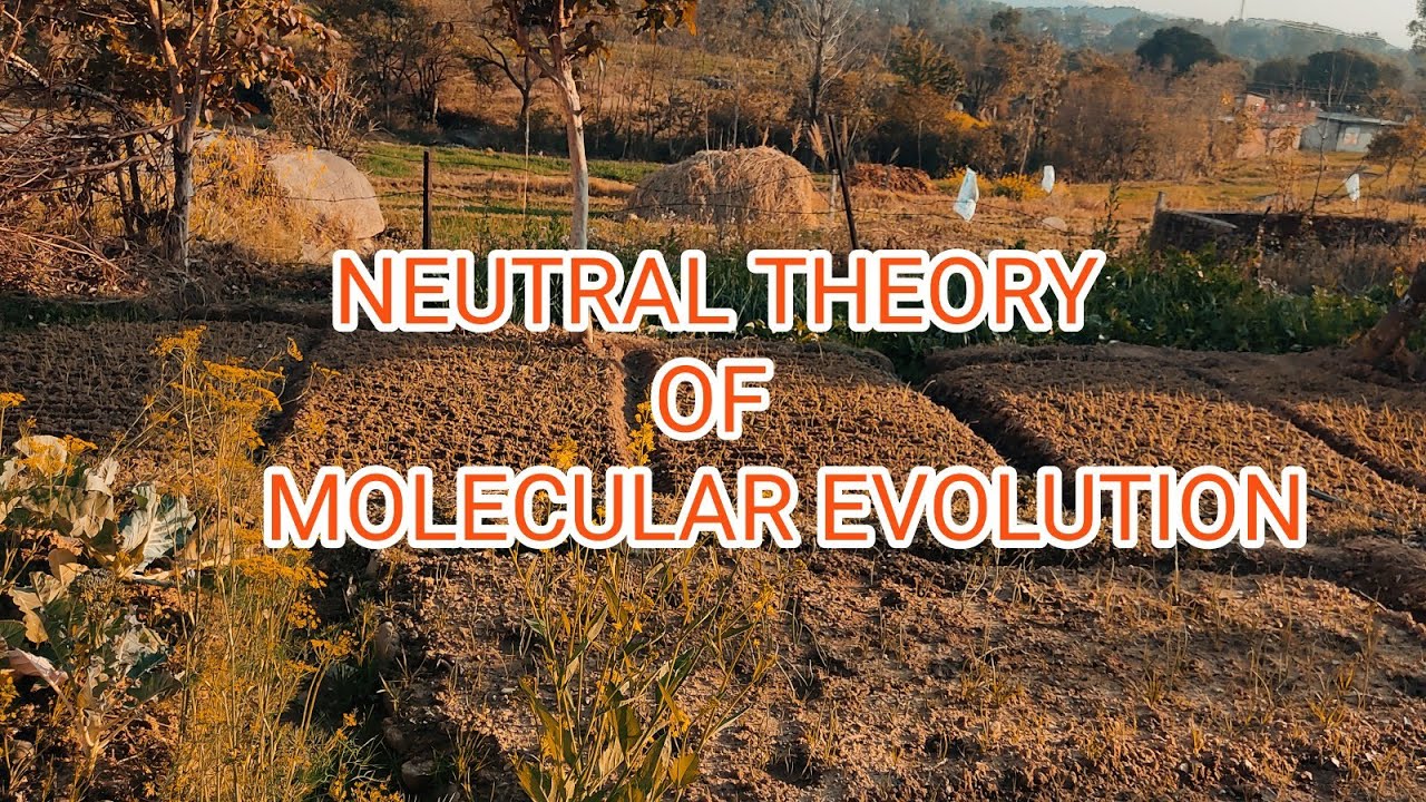 NEUTRAL THEORY  || MOLECULAR EVOLUTION | KIMURA