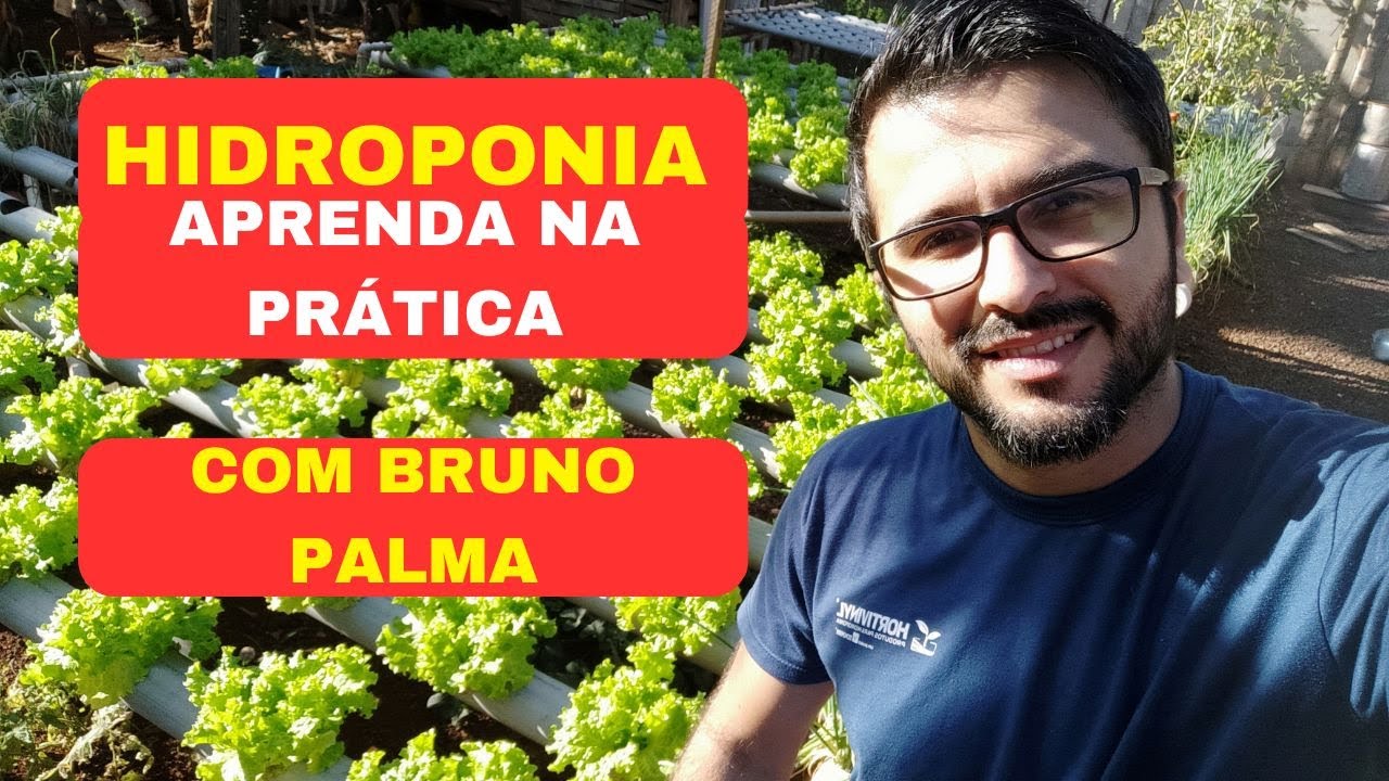 Curso Completo de Hidroponia por Bruno Palma - Veja Detalhes do Curso - Hidroponia