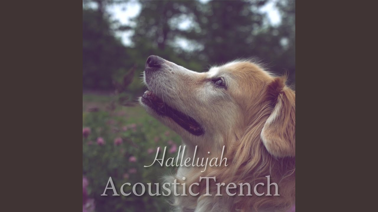 Hallelujah