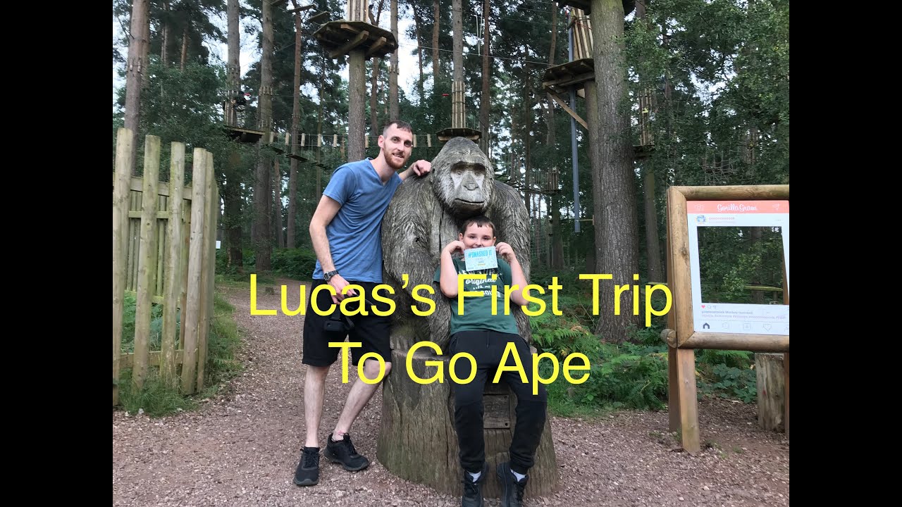 Go Ape, Cannock, Stoke on Trent! Swinging Through The Trees With Lucas