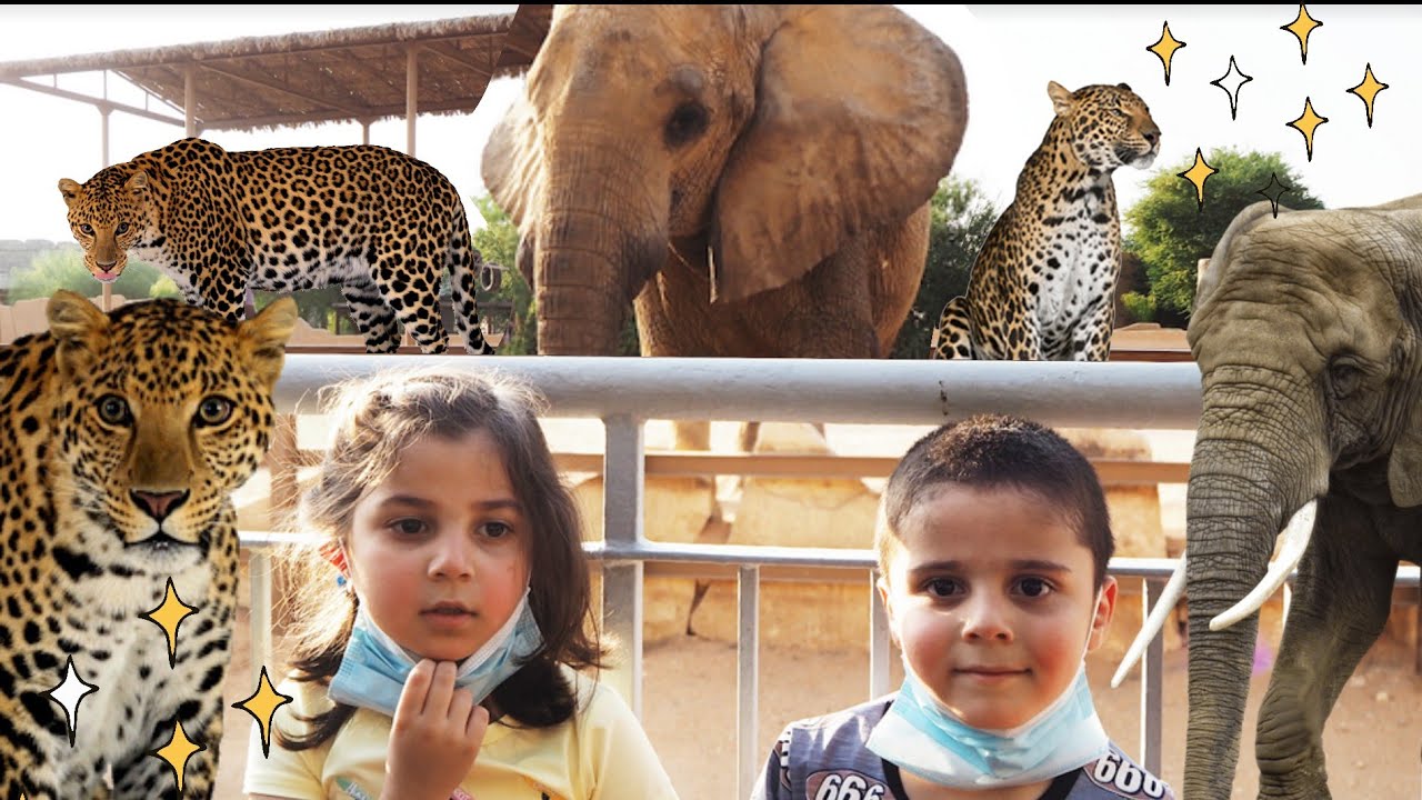 جولة في حديقة الحيوانات في الرياض | Riyadh Zoo | ردة فعل تميم رهيبة | فلوق