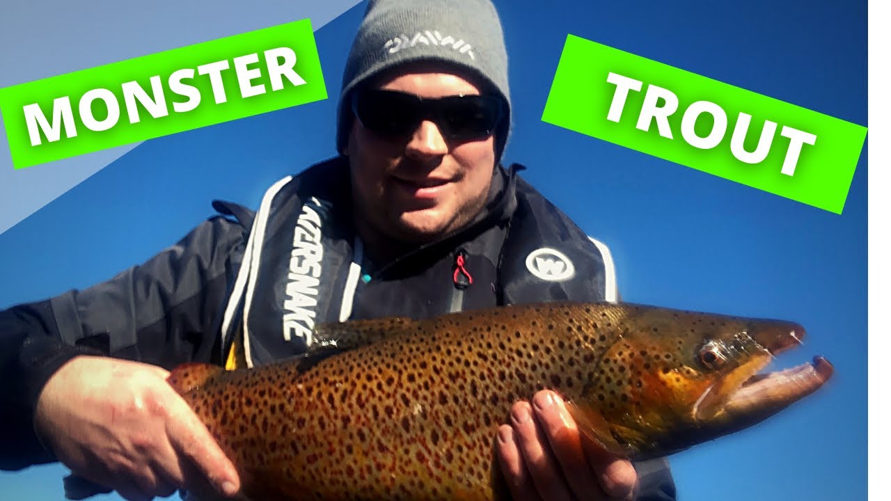 MONSTER!! TROUT !!   fishing Tullaroop res Victoria
