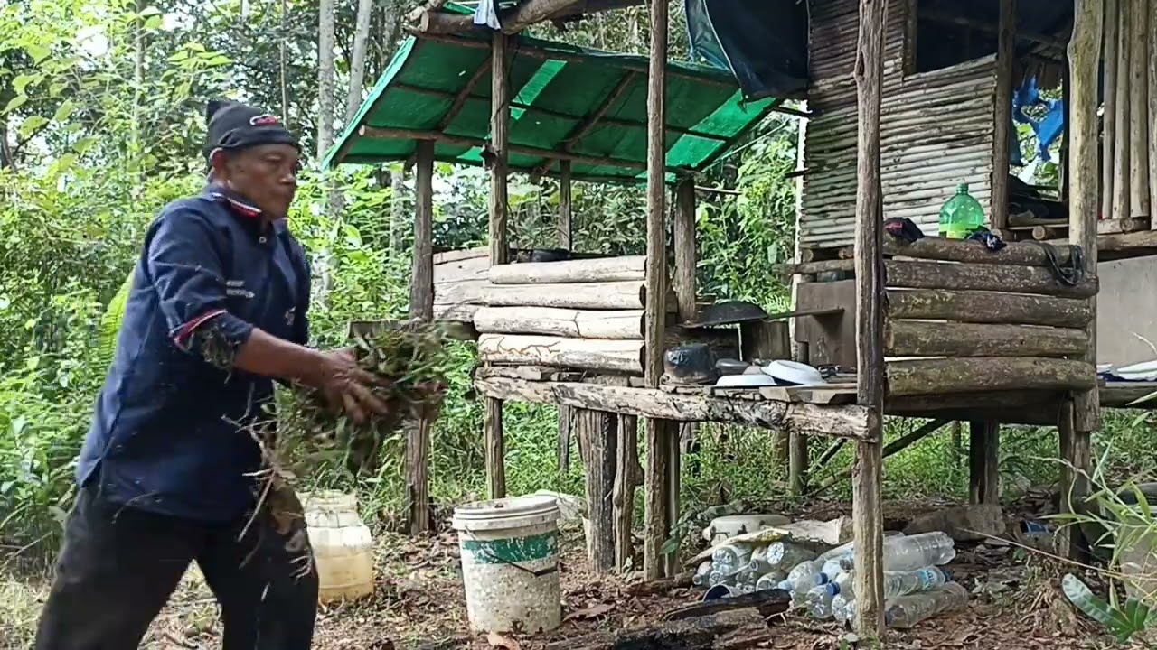 Aktivitas Di Kebun