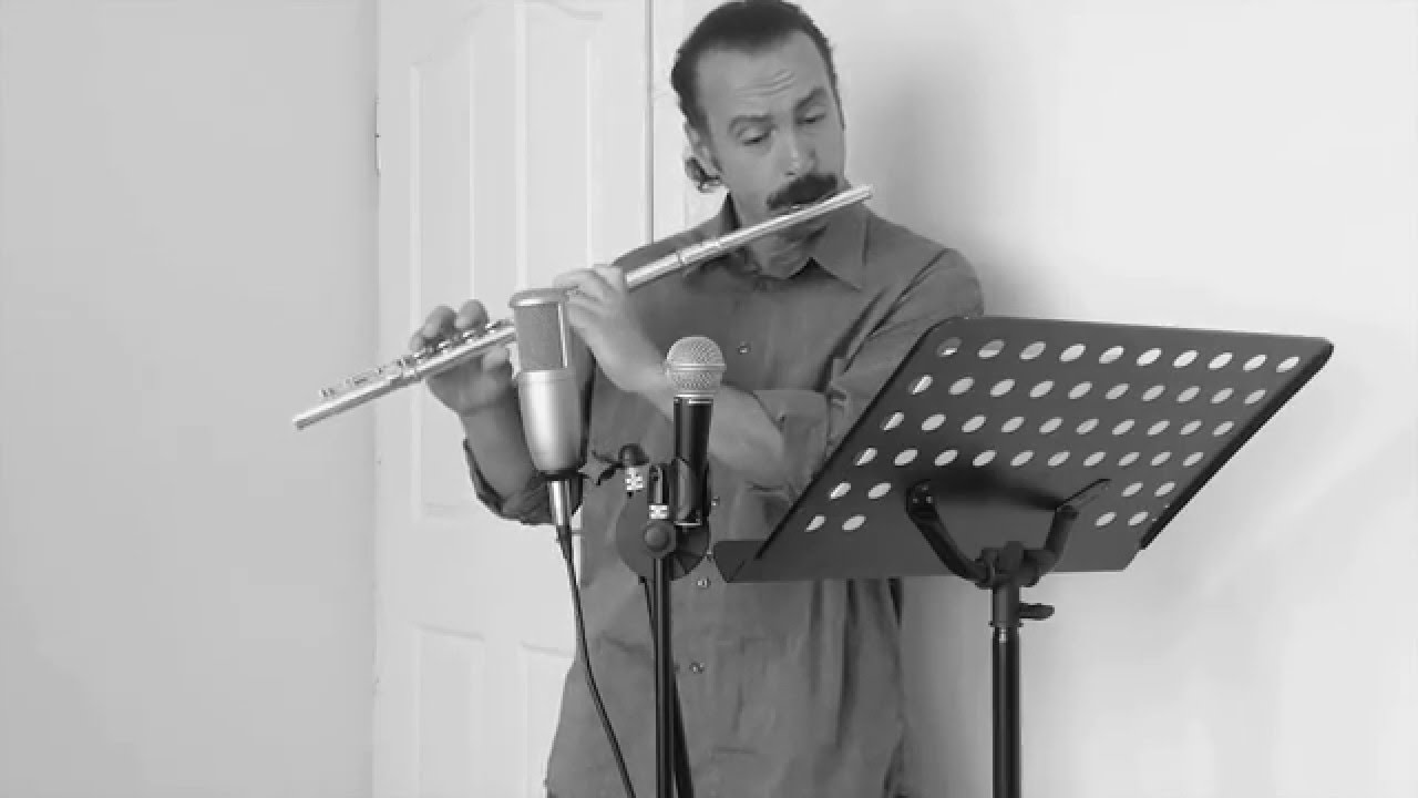 (Where Do I Begin?) Love Story by flute