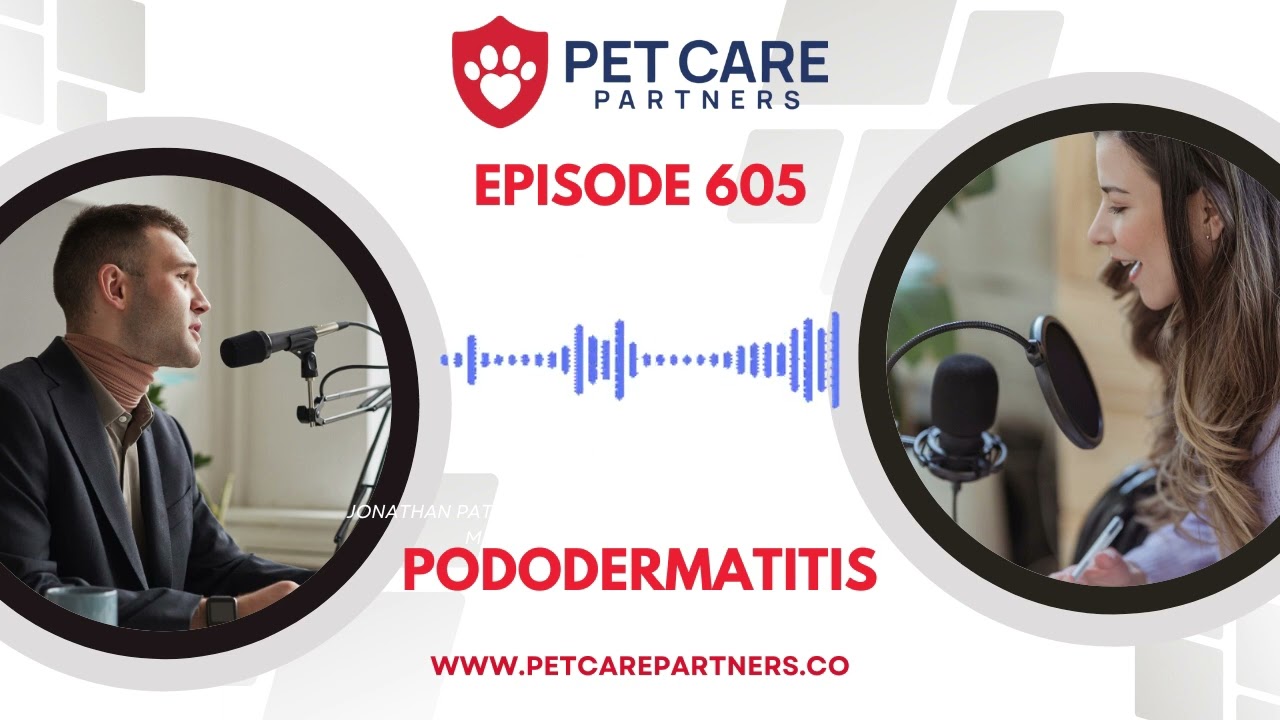 Пододерматит у домашних животных: причины, диагностика и лечение | Подкаст Pet Care Partners, вып...