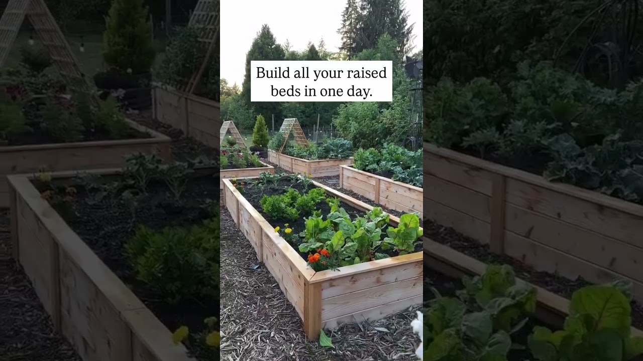 700+ ⭐️⭐️⭐️⭐️⭐️ reviews on our Natural Cedar Raised Beds rave about easy assembly.