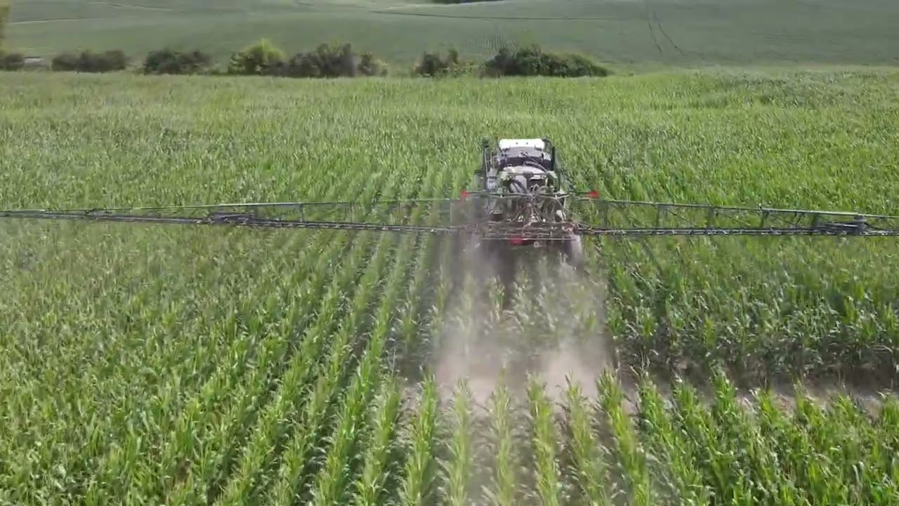 Spraying fungicides on corn with a Fendt sprayer