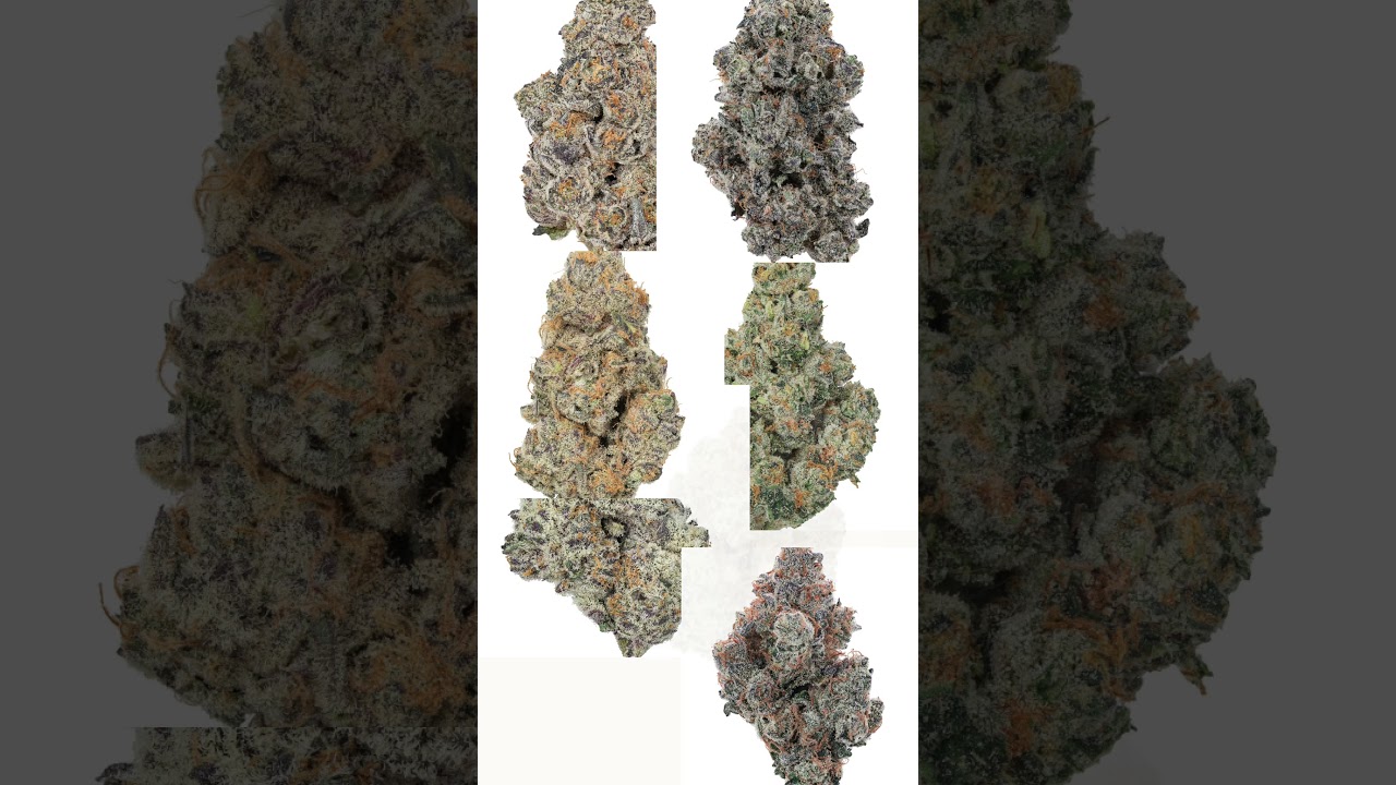 watch this BEFORE buying THCA!