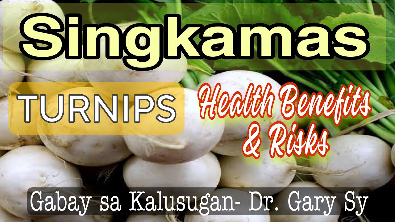Singkamas (TURNIPS): Health Benefits & Risks - Dr. Gary Sy