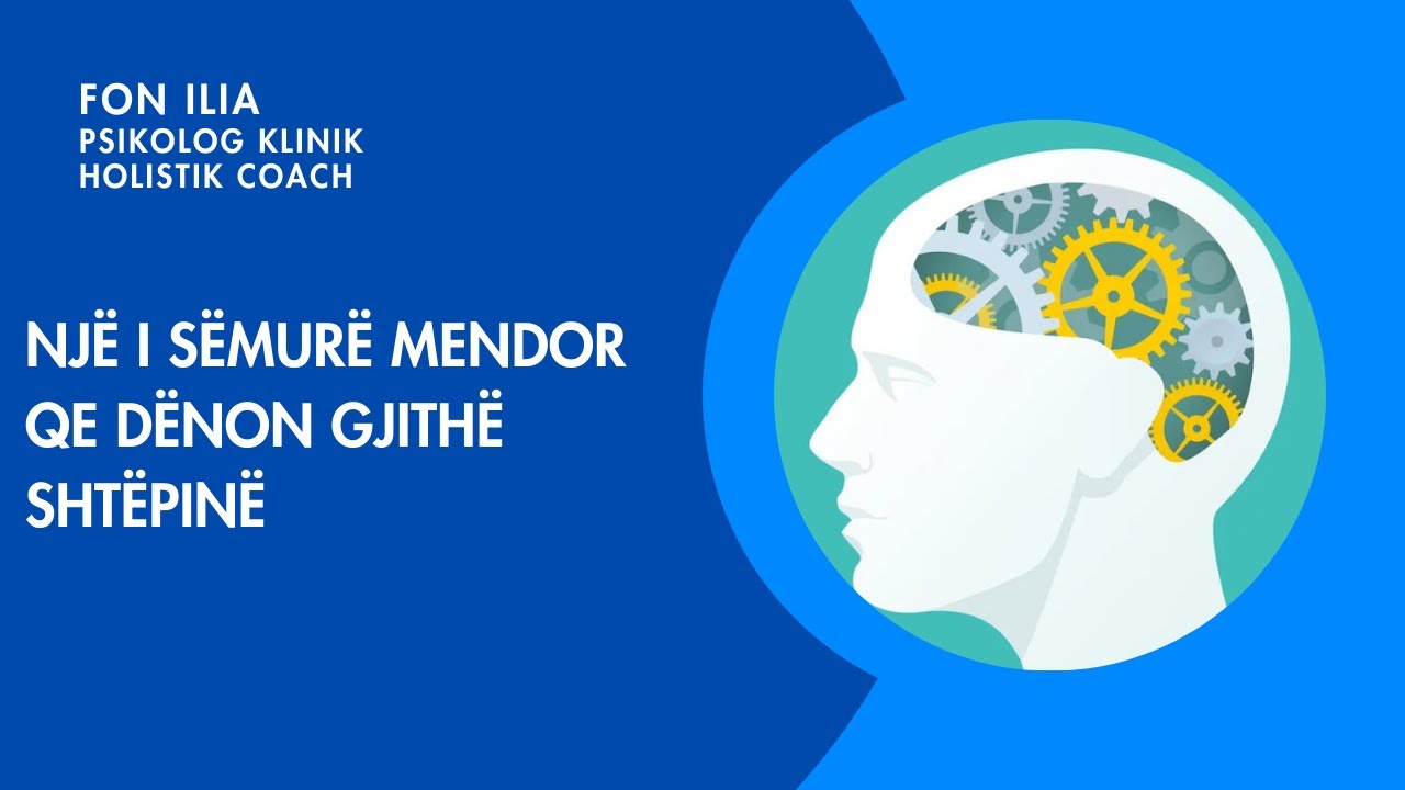 Nj&euml; i s&euml;mur&euml; mendor qe d&euml;non gjith&euml; sht&euml;pin&euml;