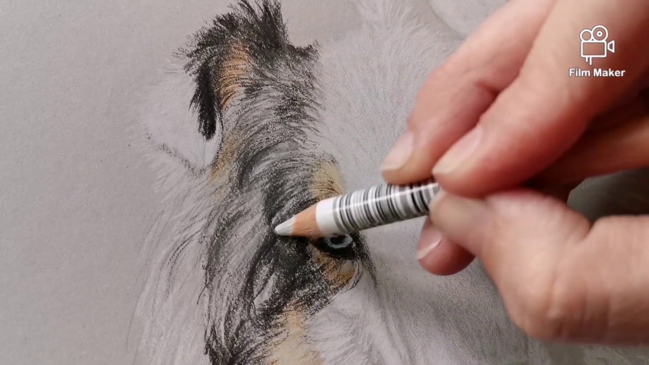 Kresba pastelkami na šedý papír / Drawing with coloured pencils on grey paper